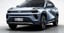 Chery Ant